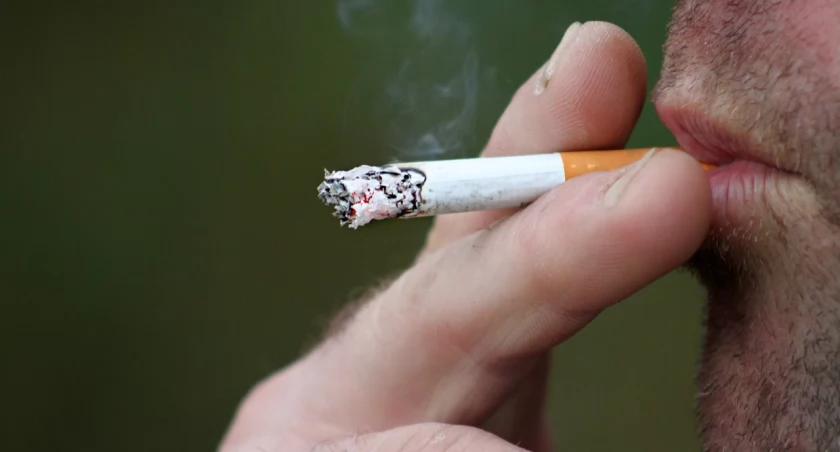 ABM bierze pod lupę palenie Polaków