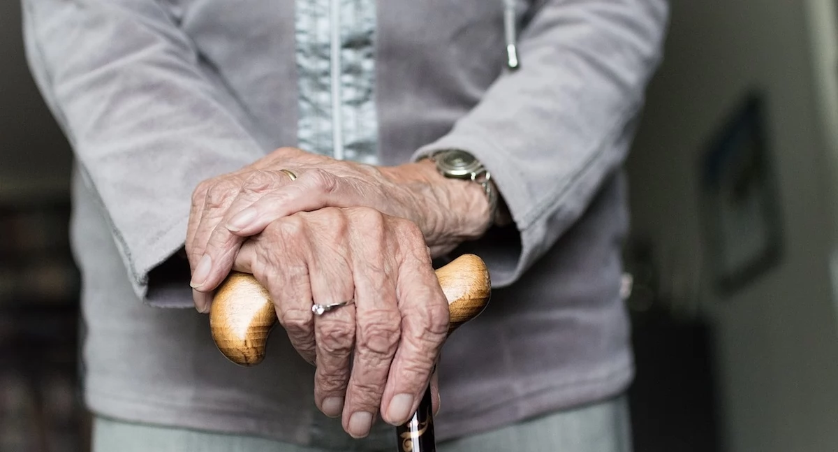 Hodowane neurony ujawniają podstawy choroby Parkinsona