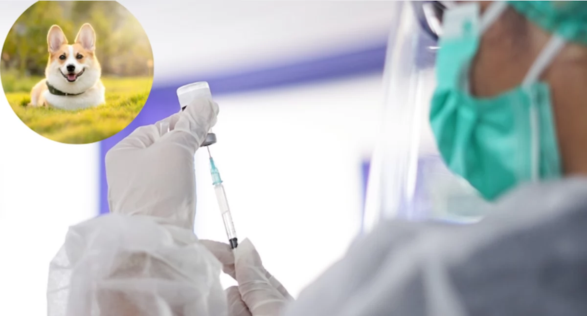 W Białymstoku powstanie nowoczesny szpital dla zwierząt