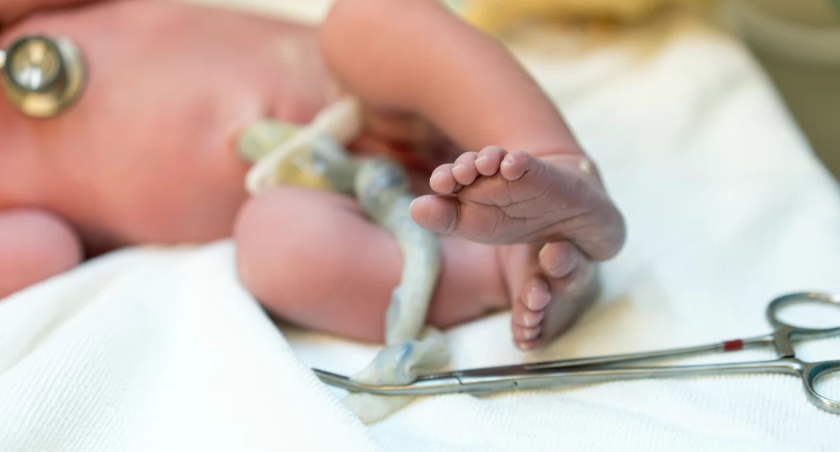 Komórki macierzyste z krwi pępowinowej – przyszłość transplantologii