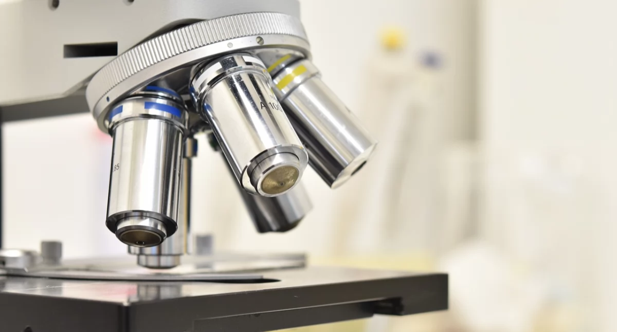 prof. Biliński: Badania nad mikrobiomem mogą uratować nas przed antybiotykoopornością 