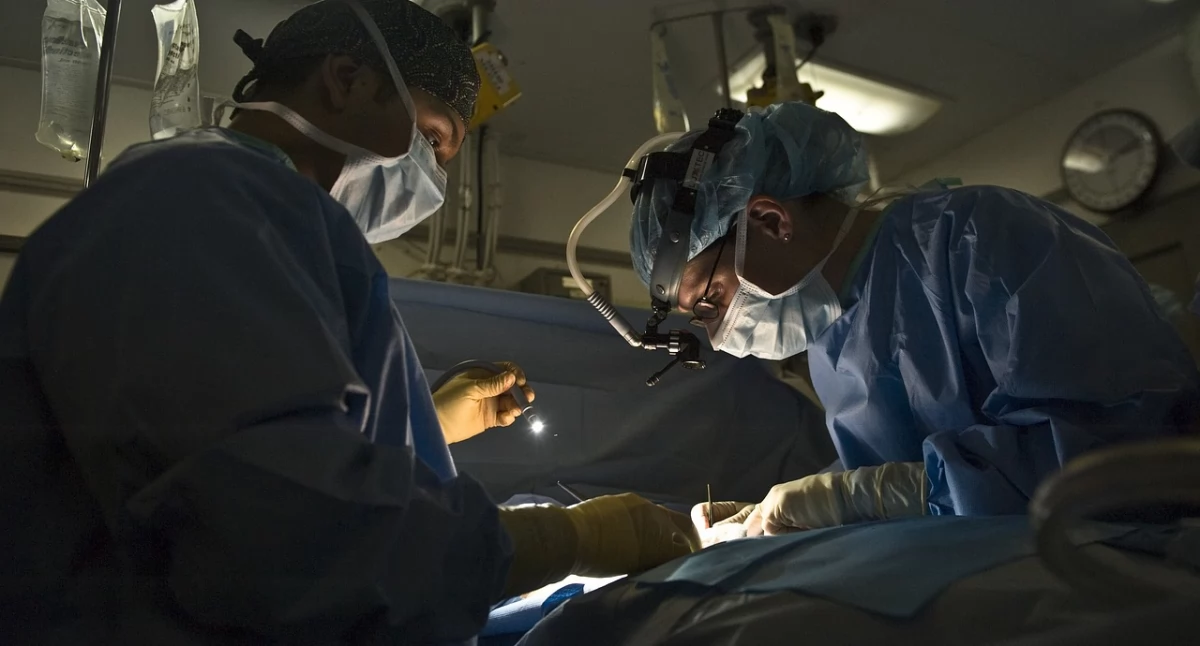 Kolejny rekord w polskiej transplantologii