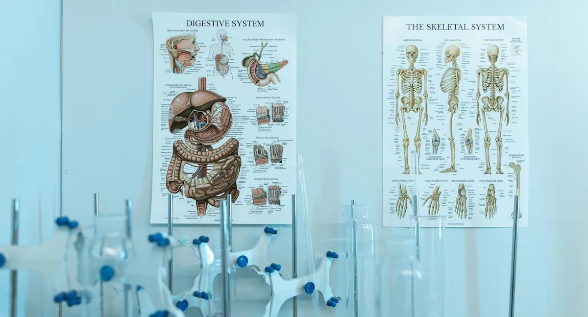 Rektorzy uczelni medycznych krytykują system: Brak promocji jakości i nauki