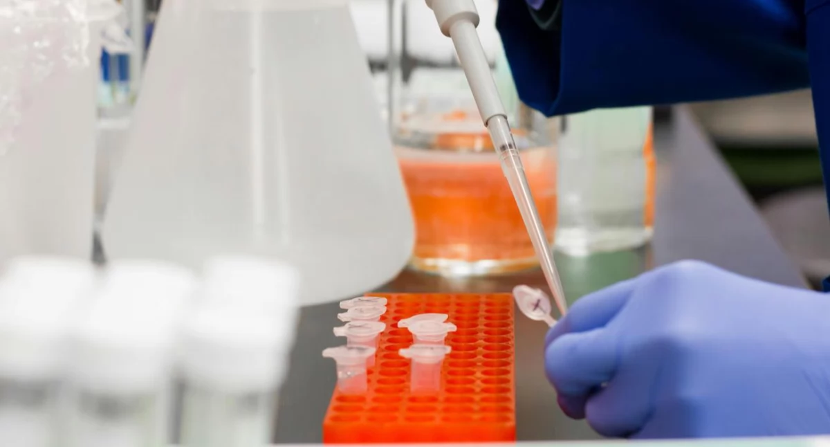 Komórki macierzyste kontra cukrzyca typu 1. Nadzieja, która rośnie w laboratorium