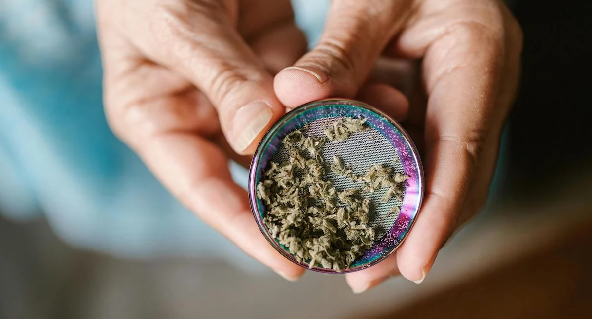 Ponad 10 tysięcy badań przeanalizowanych. Eksperci: marihuana naprawdę działa w terapii raka