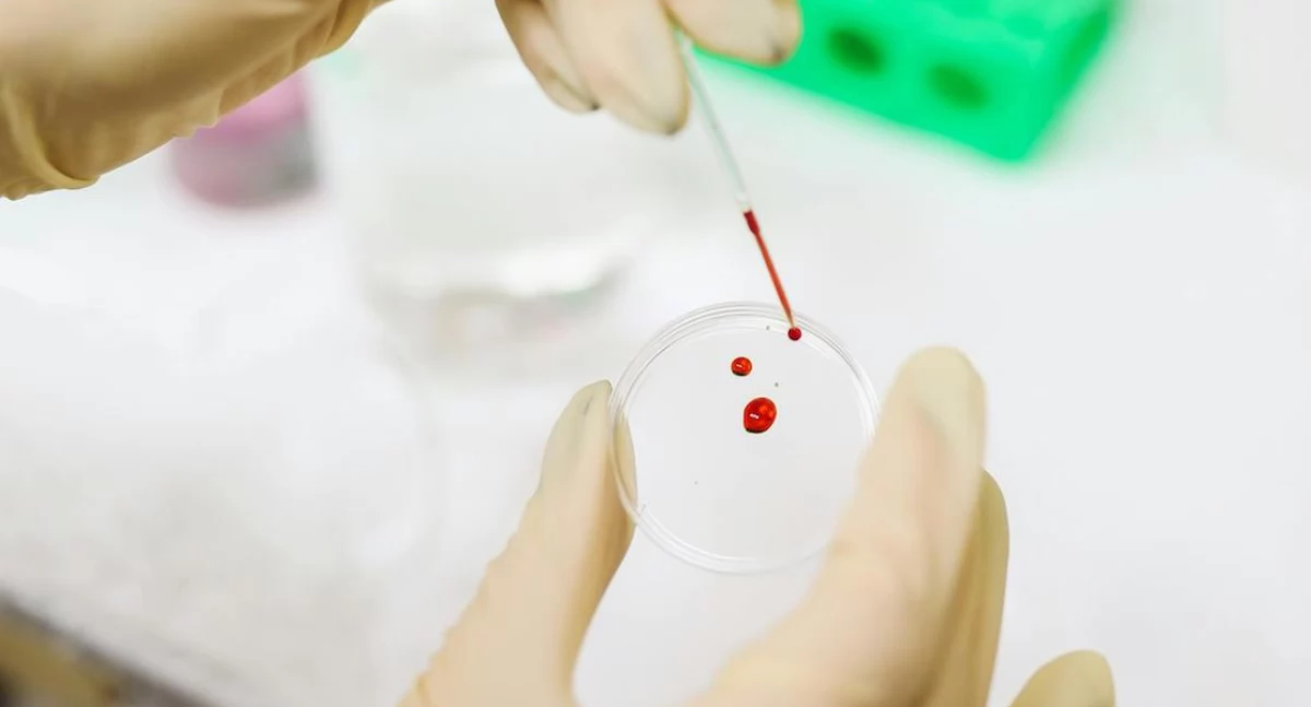 Nowy zegar biologiczny przewiduje długość życia. Wystarczy kropla krwi
