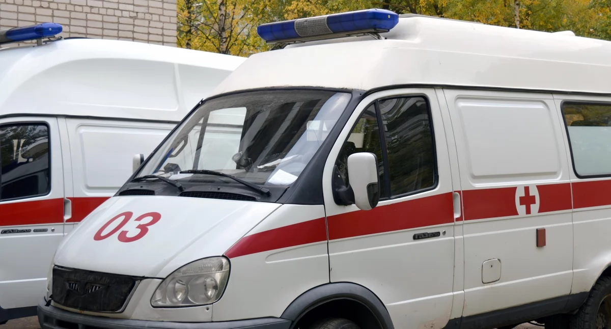 NIL żąda natychmiastowych działań: rejestr agresji, nowe przepisy, skuteczniejsze ściganie sprawców