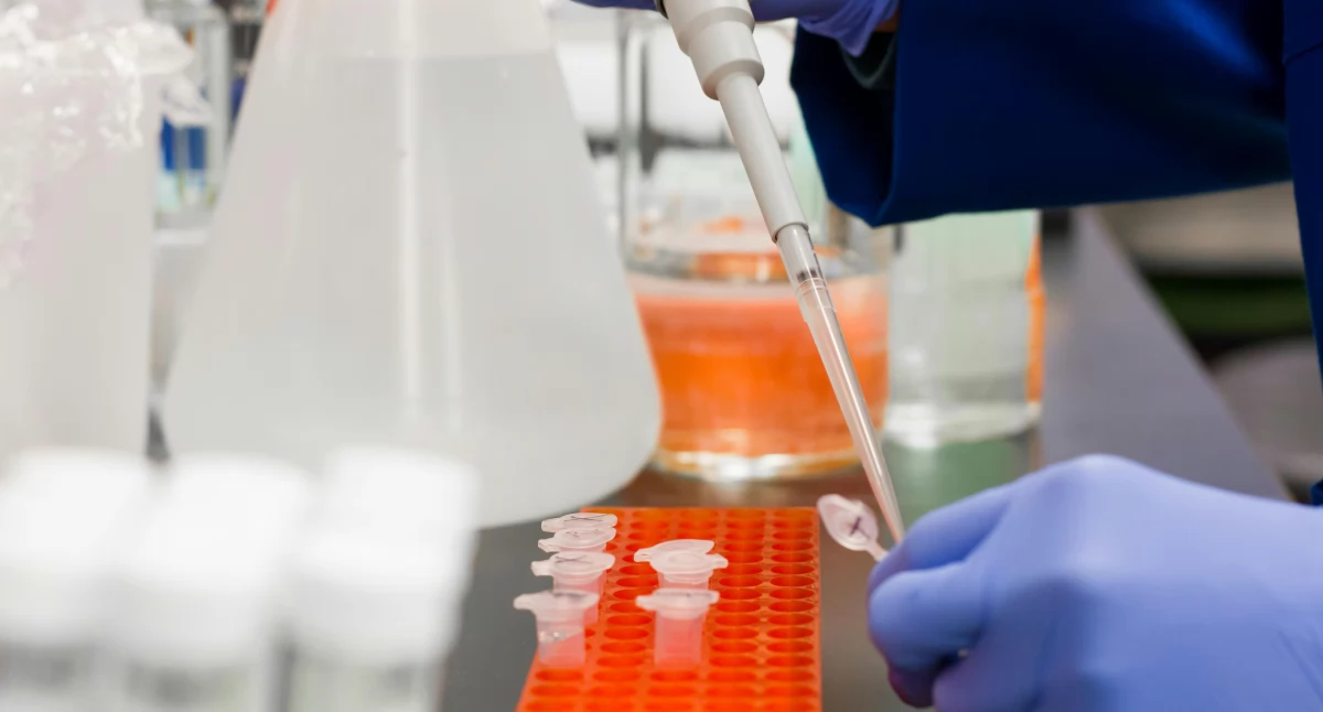 UK Biobank zakończył największe badanie obrazowe ciała: przeskanowano 100 tys. ochotników