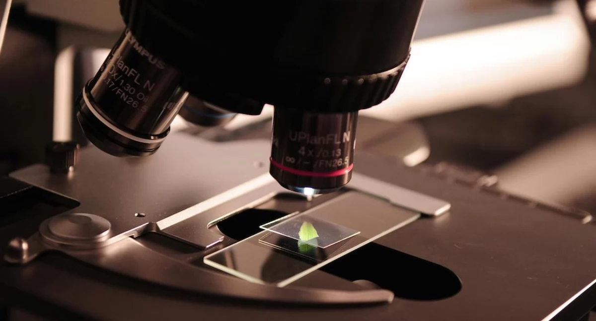 Nowa technologia pozwala śledzić rozwój raka bez biopsji i mikroskopu