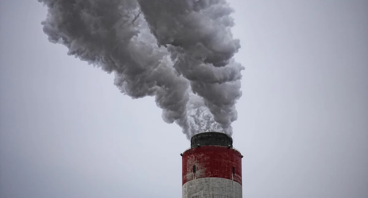 PM2,5 pod obserwacją. Nowe badania ujawniają związek między zanieczyszczeniem a pękaniem tętniaków
