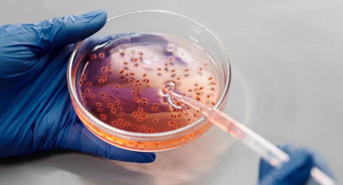 Nowa broń przeciw rakowi jajnika: radioimmunoterapia eliminuje komórki macierzyste nowotworu