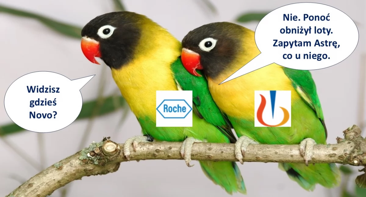 Novo Nordisk: dlaczego duński koncern BigPharma budzi tak duże kontrowersje? [WYWIAD, ANALIZA]