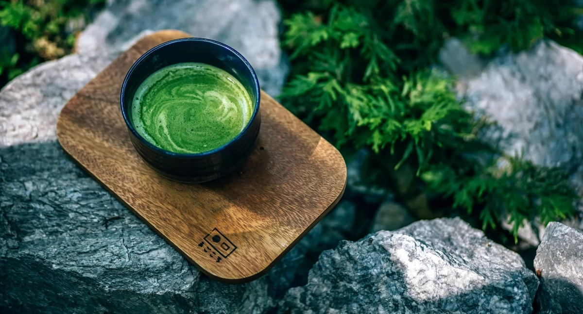 Matcha – właściwości, działanie i przeciwwskazania. Dlaczego warto pić zieloną herbatę w proszku?
