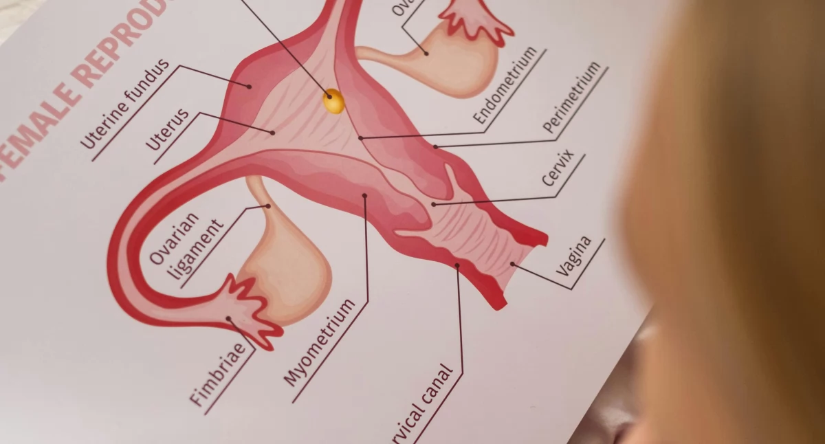 Edukacja zdrowotna: Ordo Iuris w obronie „seksualności młodych”, a młodzi chcą edukacji zdrowotnej