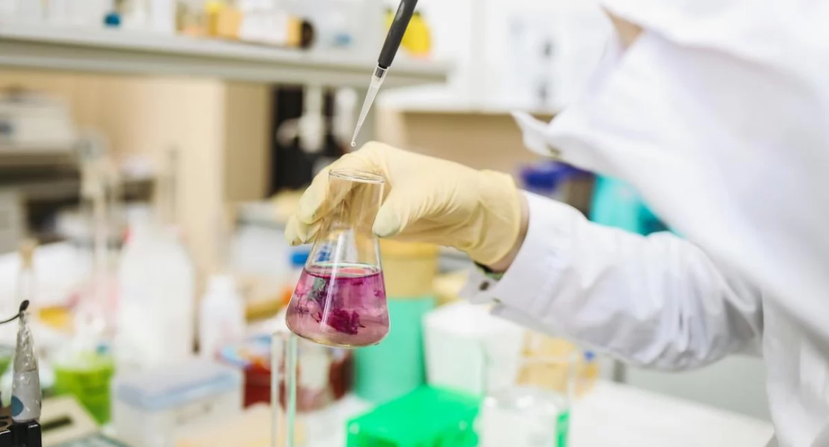 TAG-CLL: nowe narzędzie w walce z przewlekłą białaczką limfocytową powstało w szpitalu uniwersyteckim w Rzeszowie