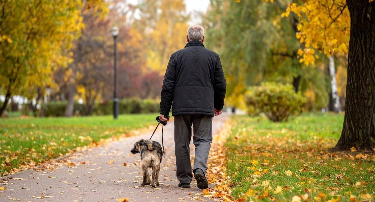 Chodzenie kontra Alzheimer. Policzyli ile kroków może spowolnić rozwój choroby