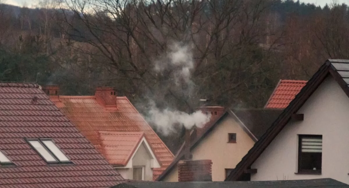 Dla kogo smog jest najgroźniejszy? Na liście dzieci i kobiety w ciąży
