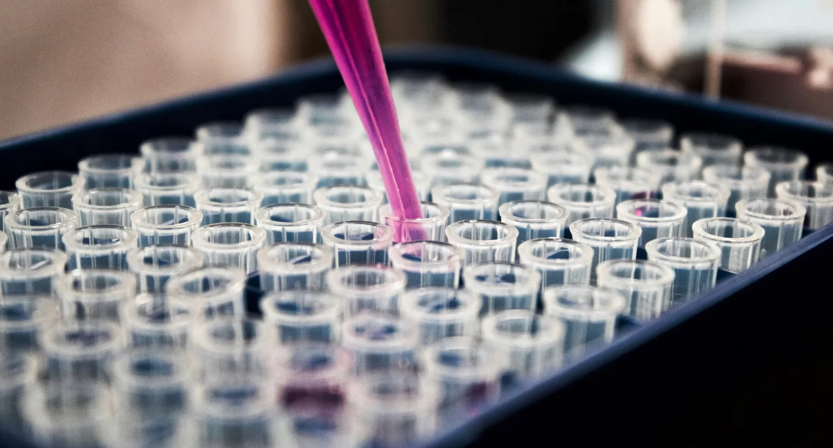 Biotechnologia potrzebuje ludzi. Jak szybciej budować kadry i łączyć uczelnie z biznesem? 