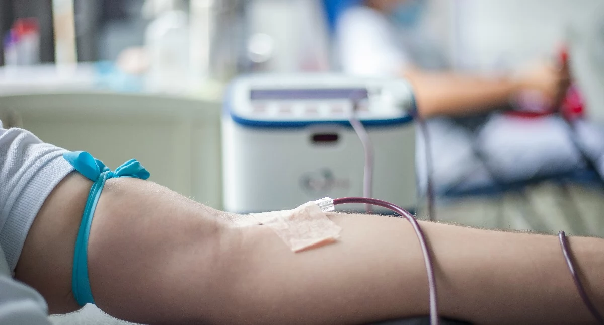 Zwolnienie za oddanie krwi 2026 – nowe zasady. Tylko godziny zamiast dnia wolnego