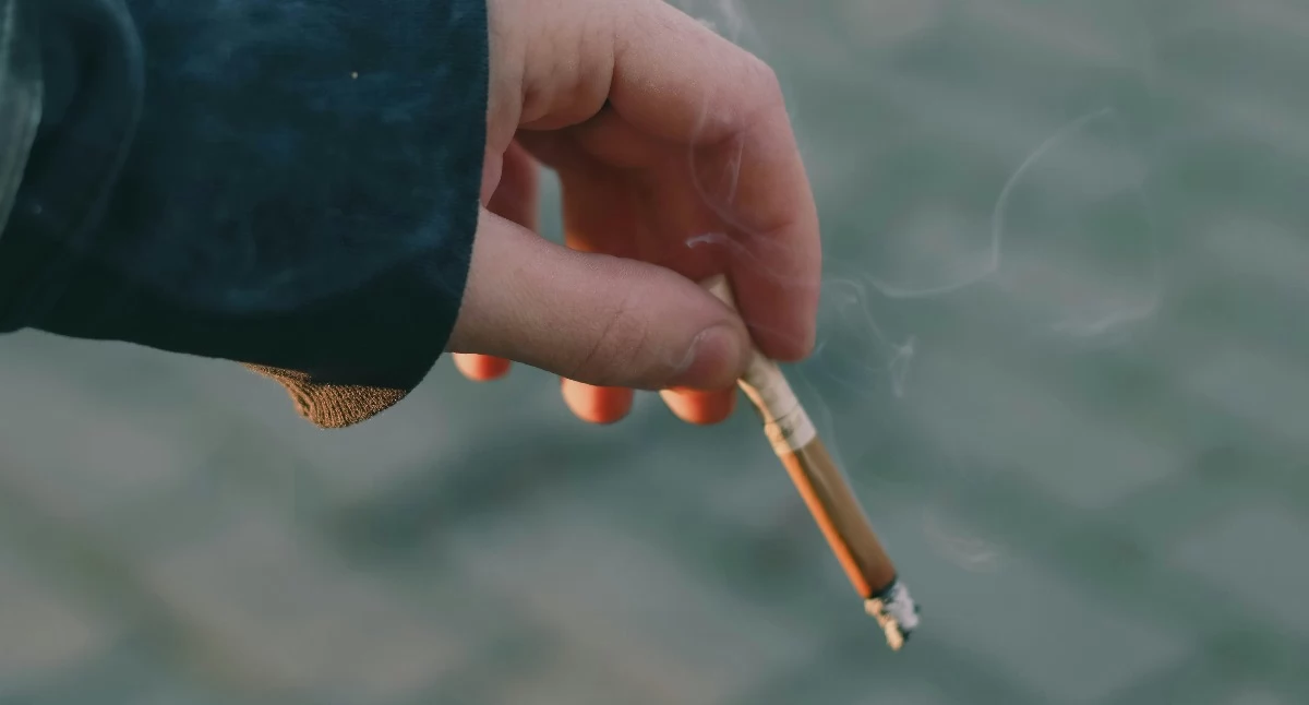 Marihuana i tytoń zmniejszają objętość mózgu. Te konkretne obszary ulegają zmianom