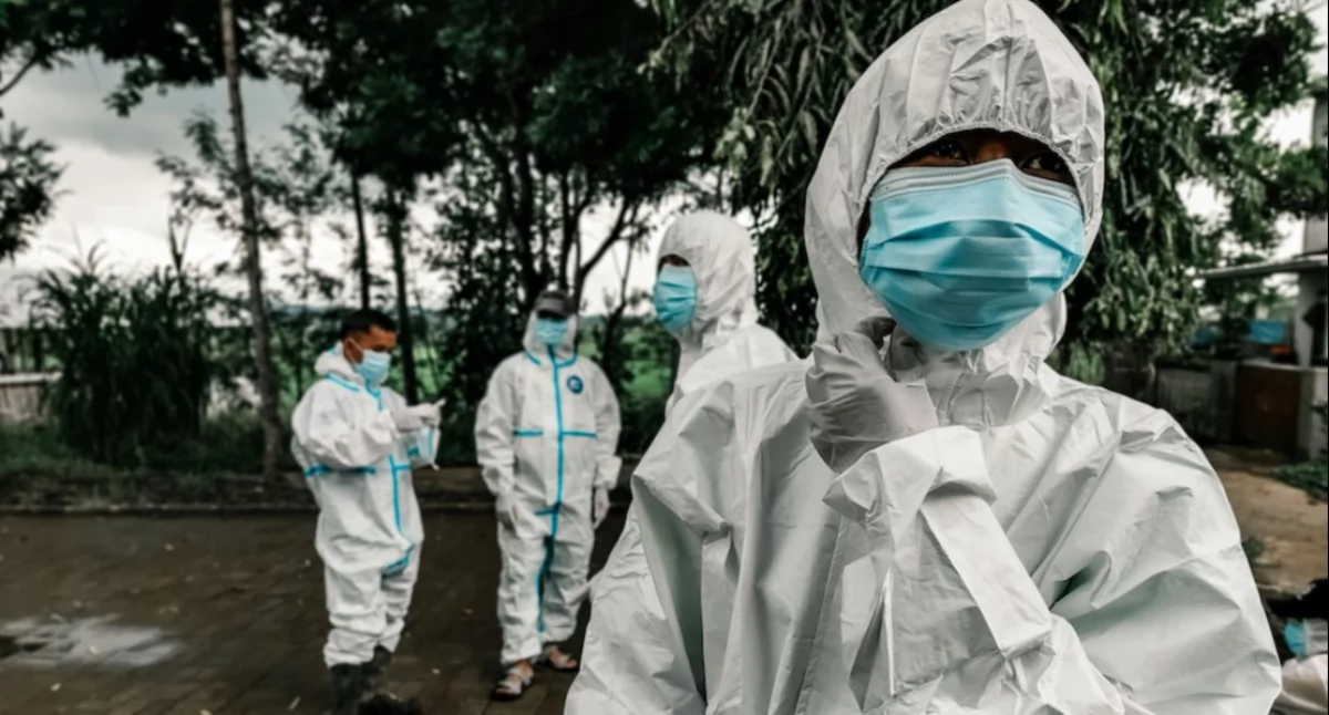 Czy wirus Ebola zagraża Polsce? Prof. Krzysztof Pyrć uspokaja: „Nie ma powodów do paniki”