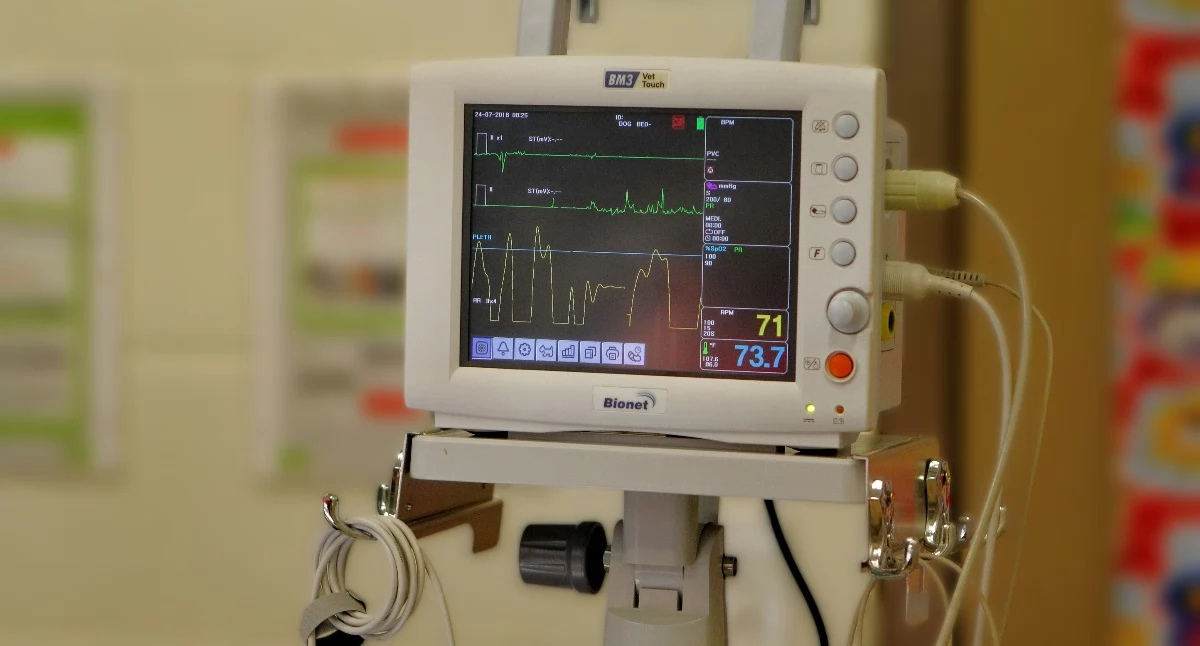 60 mln zł dla szpitala w Bochni. Rekordowa inwestycja z KPO w rozwój onkologii i kardiologii