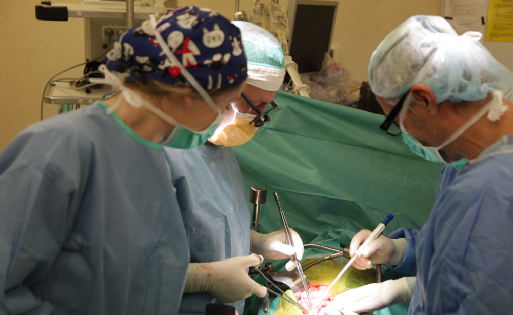 Transplantacje: Pionierski zabieg w Szpitalu Dzieciątka Jezus