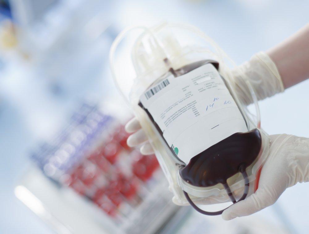 Polak Ambasadorem Europejskiego Towarzystwa Transplantacji Krwi i Szpiku