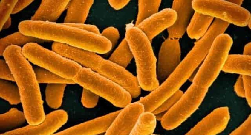 Biotechnologiczna spółka genXone nawiązała współpracę z innowacyjną duńską firmą biotechologiczną