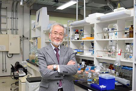 Medyczny Nobel za opracowanie metody „oczyszczania” komórek