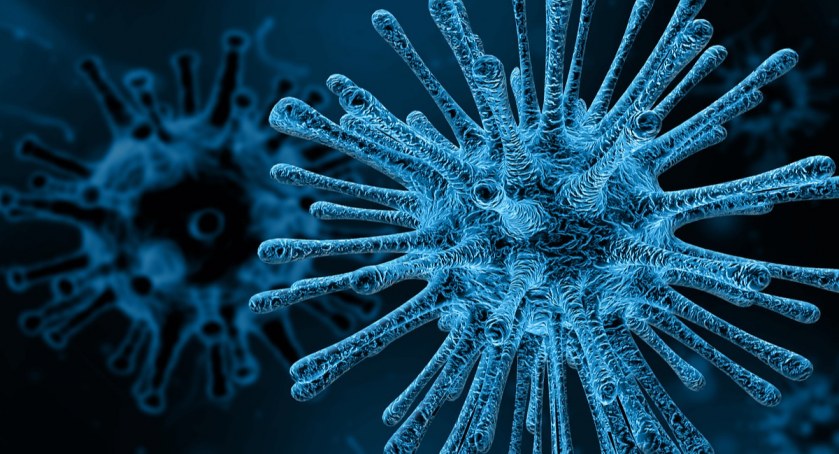 Vaccine Safety Net - szczepionka na dezinformację w internecie
