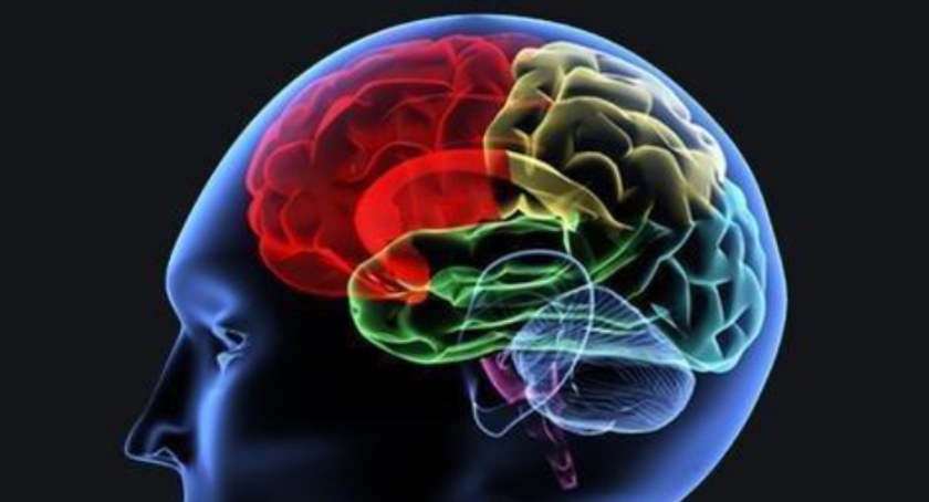 Najważniejsze potrzeby polskiej neurologii – kierunki zmian