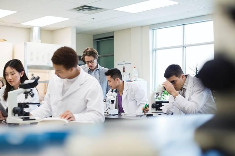 Farmaceutyczni giganci apelują o reformę podatków