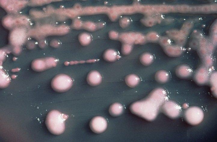 MZ: farmaceuci będą szkolić się z zakażeń wieloopornymi patogenami