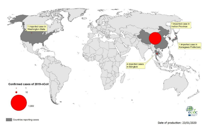 Komitet Epidemiologiczny WHO obradował ws. epidemii koronawirusa z Chin