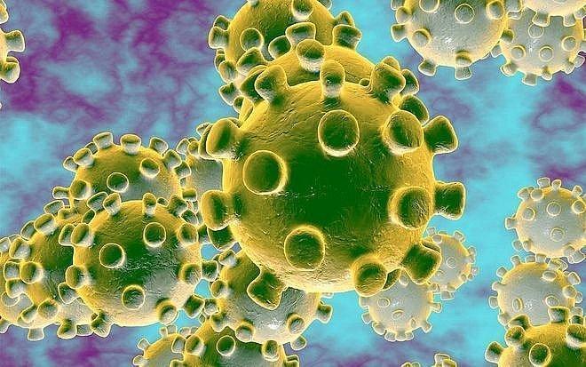 W. Kraska: 1,6 tys. osób zostało objętych nadzorem epidemiologicznym w Polsce