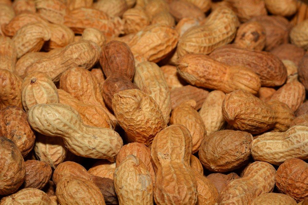 Nestle chce leczyć pacjentów z alergiami pokarmowymi