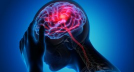 Neurologia w katalogu priorytetowych dziedzin medycyny 