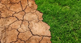 Zmiany klimatu bardziej szkodzą astmatykom