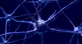 Co setny z nas choruje na epilepsję