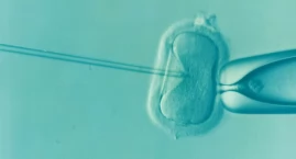 Fakty i mity na temat in vitro
