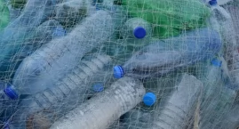 Owady uratują nas przed zwałami plastiku?