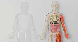 Polska transplantologia odbudowuje się