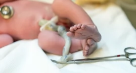 Komórki macierzyste z krwi pępowinowej – przyszłość transplantologii