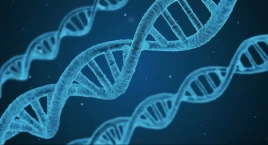 Polska firma biotechnologiczna otrzymała dofinansowanie na rozwój pierwszej na świecie platformy genetycznej 