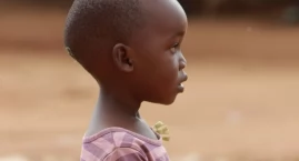 WHO zatwierdziła pierwszy test na wirusa Ebola Bundibugyo. Ma przyspieszyć wykrywanie zakażeń