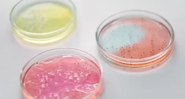 Antybiotykooporność: dlaczego antybiotyk nie działa &hellip;