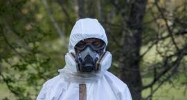 Szybkie testy na koronawirusa już w Polsce. Wyniki są obiecujące