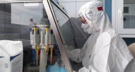 Niższe wyceny testów. Laboratoriów nie ubywa, problem mają szpitale