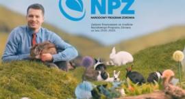 Spot z królikami ocenia dla PZ Patrycja Rzucidło